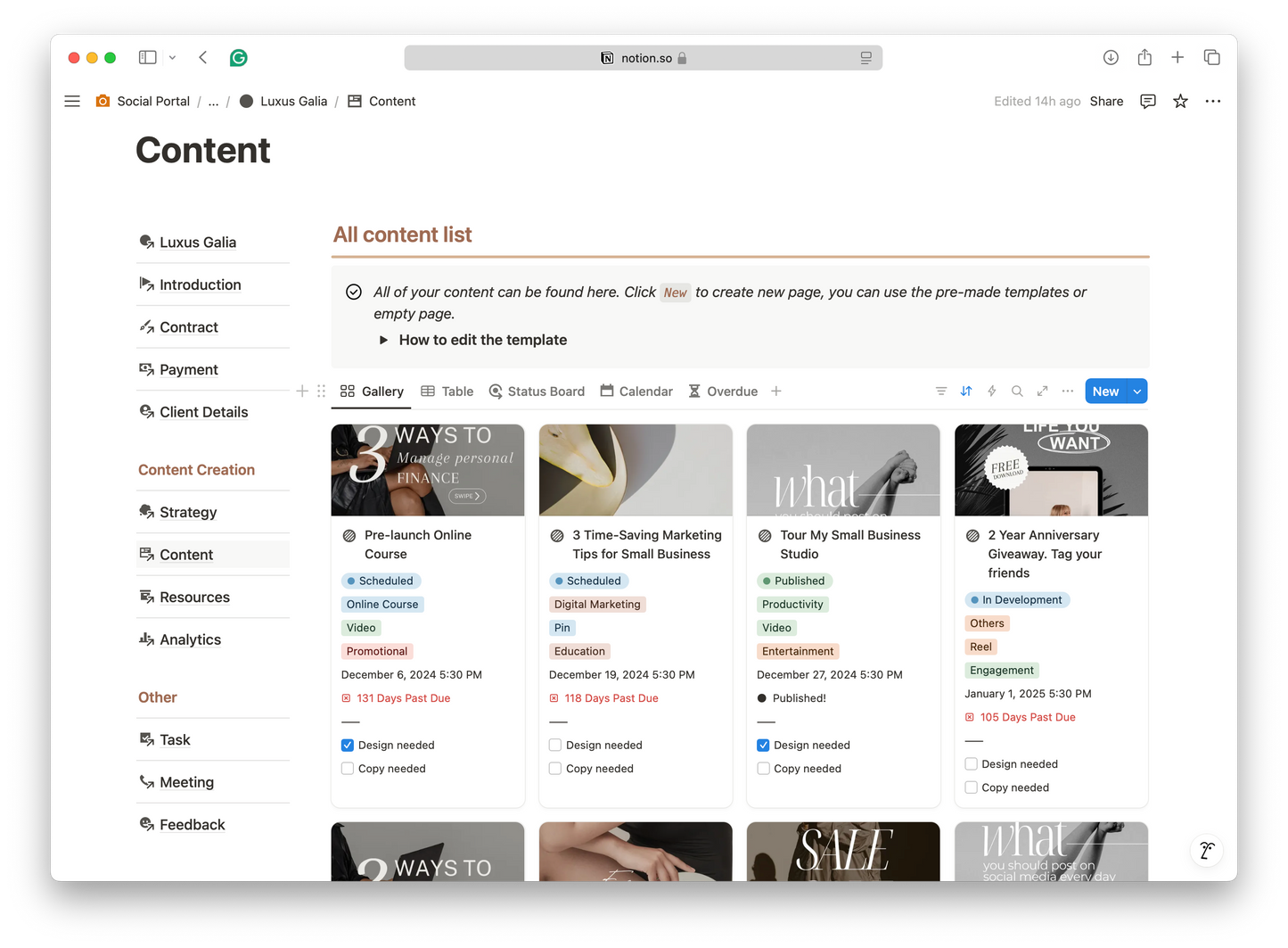 Social Media Manager - Client Portal - Notion Template